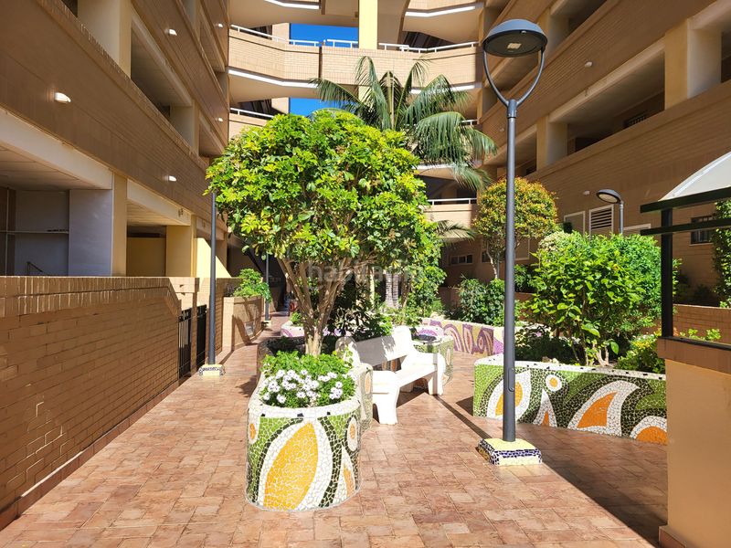 Foto 5fa7f79a-8cc0-4003-a483-238eb681af9c. Pis a avenida jardín 49 a Costa Caribe Oropesa del Mar