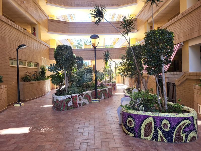 Foto e25466c5-72c7-4726-8726-712ba8cb89dc. Pis a avenida jardín 49 a Costa Caribe Oropesa del Mar