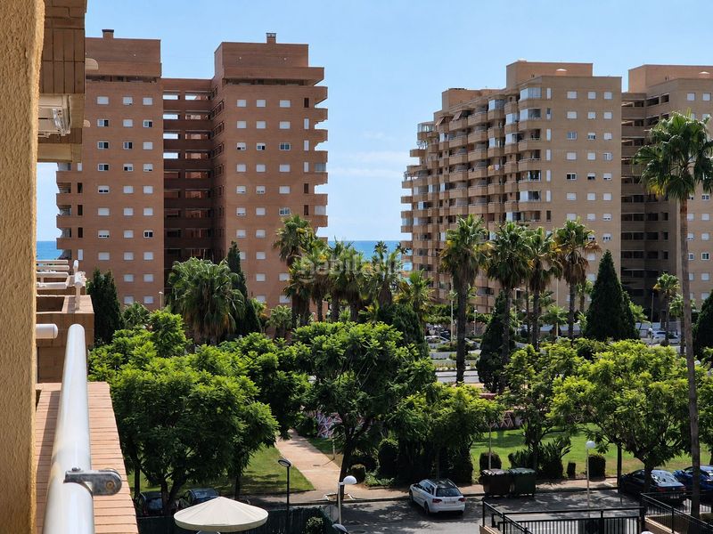 Foto fc80796a-d151-42a6-9d3d-7b40d2a0cf07. Pis a avenida jardín 49 a Costa Caribe Oropesa del Mar