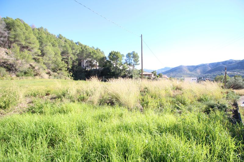Foto 3b6fb03e-49f0-4d26-a9d5-709d8980c1e9. Finca rústica a Atzúbia (L´)