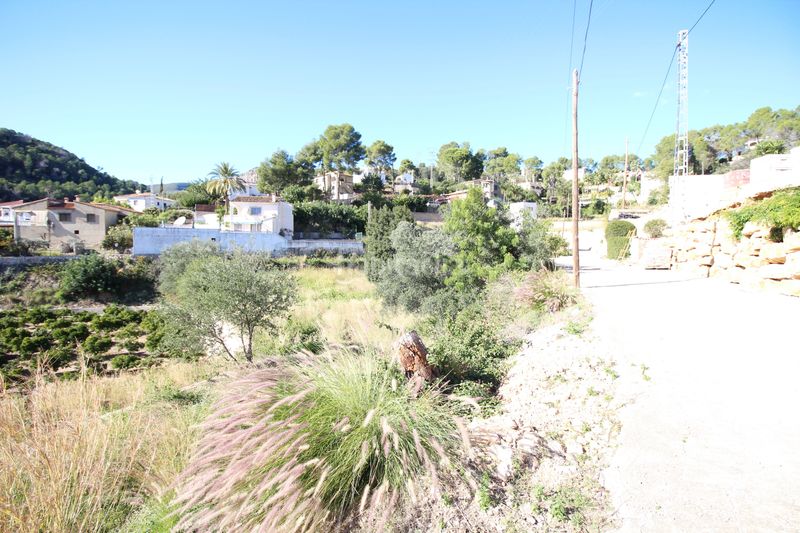 Foto 5b2e14b3-a4c2-42c6-89d0-751c08215245. Finca rústica a Atzúbia (L´)