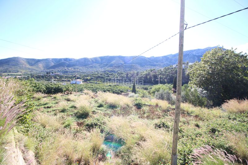 Foto ba845cc4-7aaf-4f2c-95dc-0f0600fca5a9. Finca rústica a Atzúbia (L´)