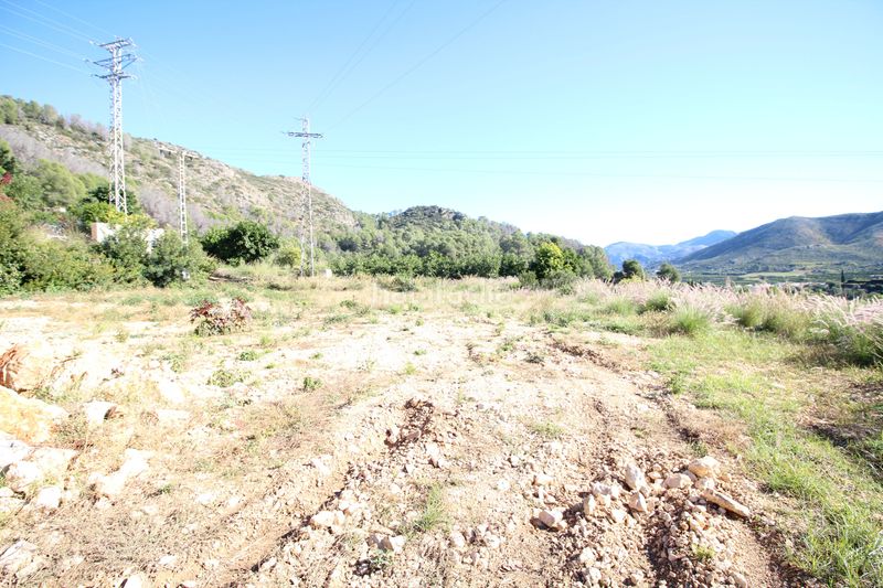 Foto f0e26a62-59dd-4b90-8c77-65a47a239696. Finca rústica a Atzúbia (L´)