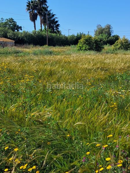 Foto b9acf6ac-288c-44a0-ba61-af602d8dd312. Finca rústica a Purias Lorca