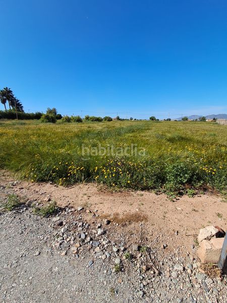Foto fdf2aa4d-0d00-4818-8227-fa04b387f8fb. Finca rústica a Purias Lorca