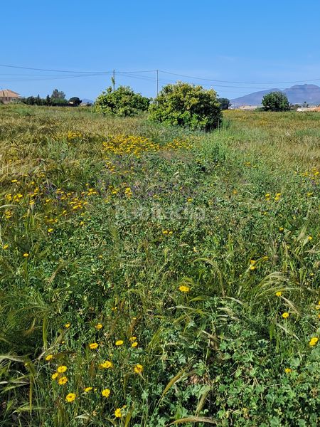 Foto 5695d5e2-d0fc-4b0e-a8fa-c053da1ba6b8. Finca rústica en Purias Lorca