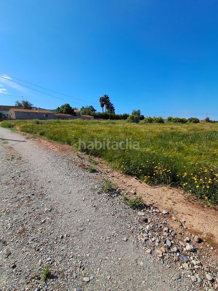 Foto 58d86d34-c384-4fe0-834f-93bd38697db5. Finca rústica en Purias Lorca