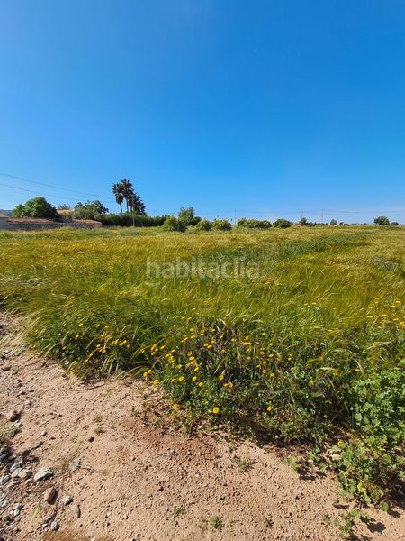 Foto d69cf75c-1b50-4ff2-8262-55ffd7d931a6. Finca rústica en Purias Lorca
