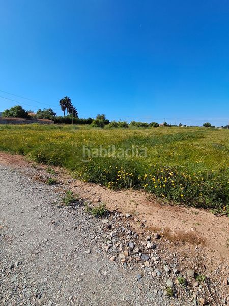Foto da8eb0e3-e47d-4a63-99bb-a4573a1ee137. Finca rústica en Purias Lorca