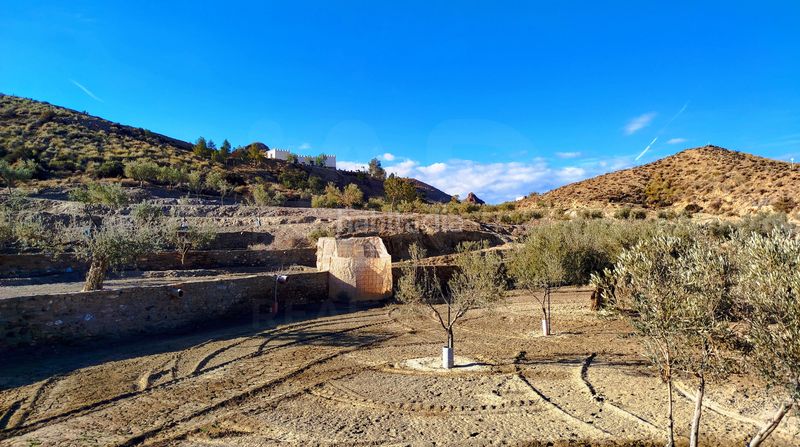 Foto 50df0ca1-27b7-469b-b709-c490172cf05c. Casa amb piscina a Tabernas