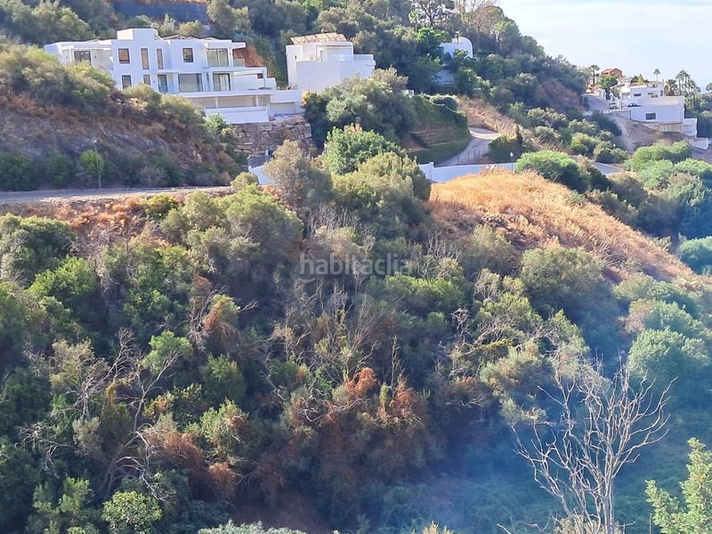 Foto 399cff09-4807-4d2b-8a73-84aa18ab9b23. Terreny residencial a El Rosario - Ricmar Marbella