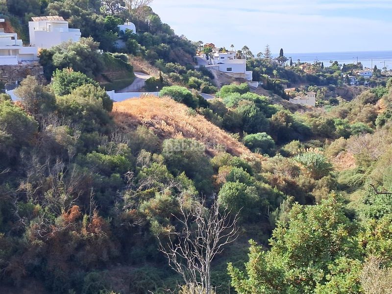 Foto bca50a56-3427-4b5e-a265-c74fb1fcc83f. Terreny residencial a El Rosario - Ricmar Marbella