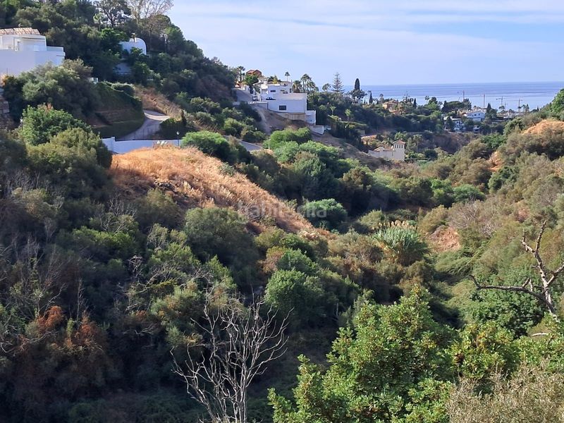 Foto f97f47bc-9f2d-4d9c-bfd7-d1e6dddeab87. Terreny residencial a El Rosario - Ricmar Marbella