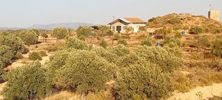 Finca rústica a Riba-roja d´Ebre