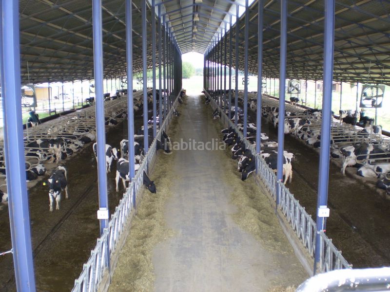 Foto 12751ca0-e342-41f5-a1ad-b2ad485ee725. Finca rústica a Lucillos