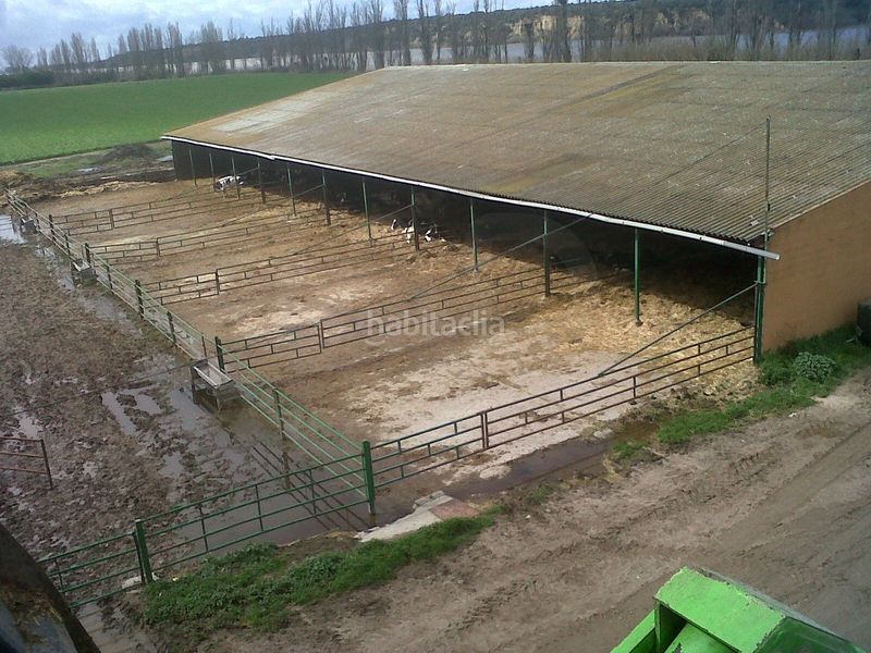 Foto a186e924-bdb4-4b92-9201-a269ae2439ac. Finca rústica a Lucillos