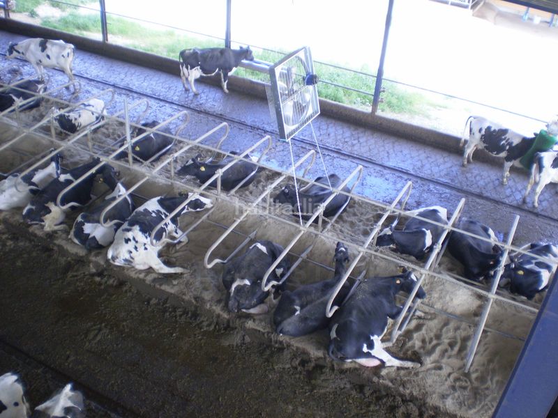 Foto dee7e9d3-bd24-4439-bfe6-2898a998ef25. Finca rústica a Lucillos