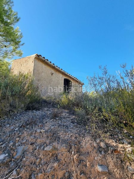 Foto 55fb719f-8c52-4754-a003-3d7a3e02531f. Terreno residencial en poligono 7 parcela 274 en Gandesa