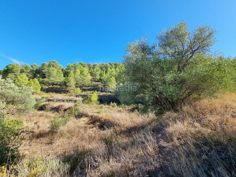Foto a3341309-4ba8-453c-a053-a7e45d23cd6e. Terreno residencial en poligono 7 parcela 274 en Gandesa