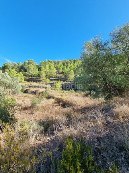 Foto abdf922d-6ffd-4614-a4f6-8b64d3de9df6. Terreno residencial en poligono 7 parcela 274 en Gandesa