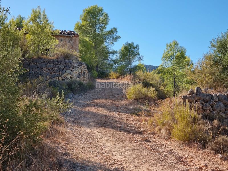 Foto db134538-b812-4e6c-8479-7da4c9a77a12. Terreno residencial en poligono 7 parcela 274 en Gandesa