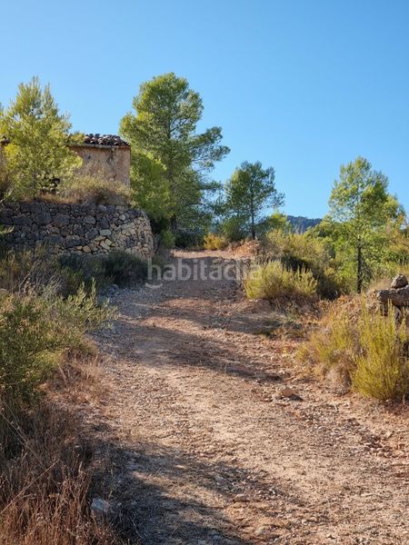 Foto dbb255a6-8d93-413a-926e-410ef227417e. Terreno residencial en poligono 7 parcela 274 en Gandesa