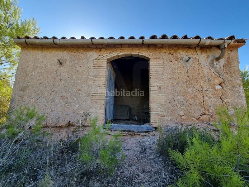 Foto f9e79bf5-db4f-4797-afb0-878d6a59f35b. Terreno residencial en poligono 7 parcela 274 en Gandesa