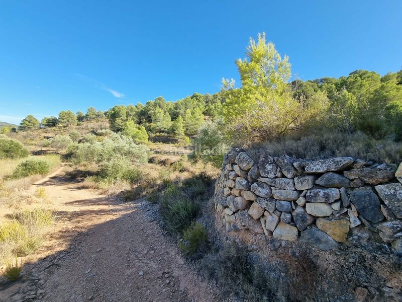 Foto fd189907-61b7-4059-907b-082527f83dc4. Terreno residencial en poligono 7 parcela 274 en Gandesa