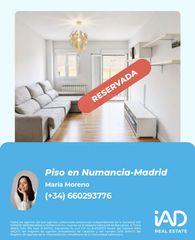 Pis a Numancia