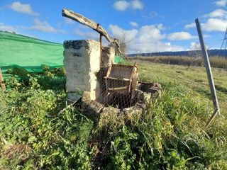 Rural plot in Petra