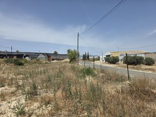 Terreny residencial a Calasparra