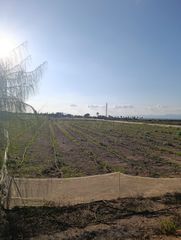 Finca rústica a La Marina
