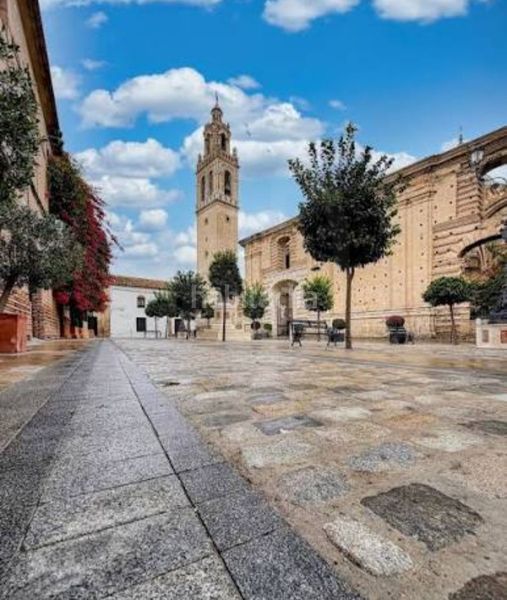 Foto dacfa30e-eef3-4d74-b692-a0a4a212c265. Casa amb aparcament a Écija