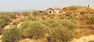 Finca rústica en Riba-roja d´Ebre