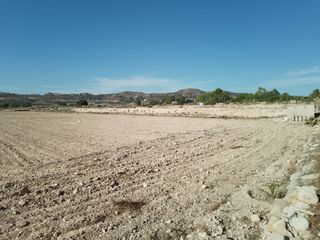 Landgut in Novelda