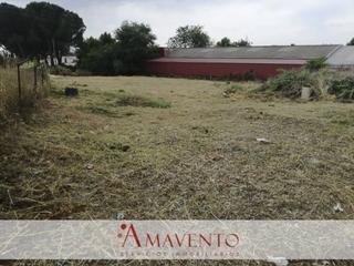 Terrain industriel  Camino viejo de cobea. Terreno industrial en venta en paracuellos de jarama