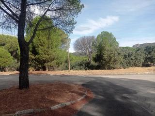 Terreno residencial  Calle de rodrigo de triana. Parcela urbana en costa de madrid, en zona tranquila.