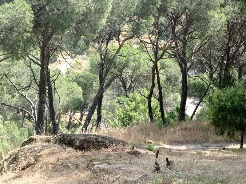 Foto 095da3f5-1f3a-4203-88bc-906076873dc9. Terreny residencial a San Martín de Valdeiglesias