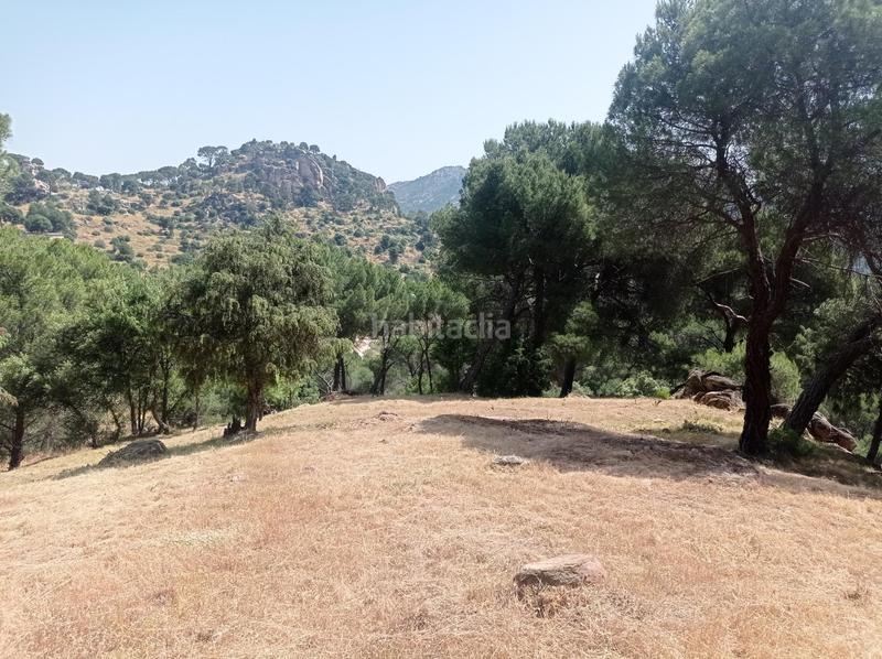 Foto 263ff08e-989b-4b62-8e6b-02832a2d5c1b. Terreny residencial a San Martín de Valdeiglesias