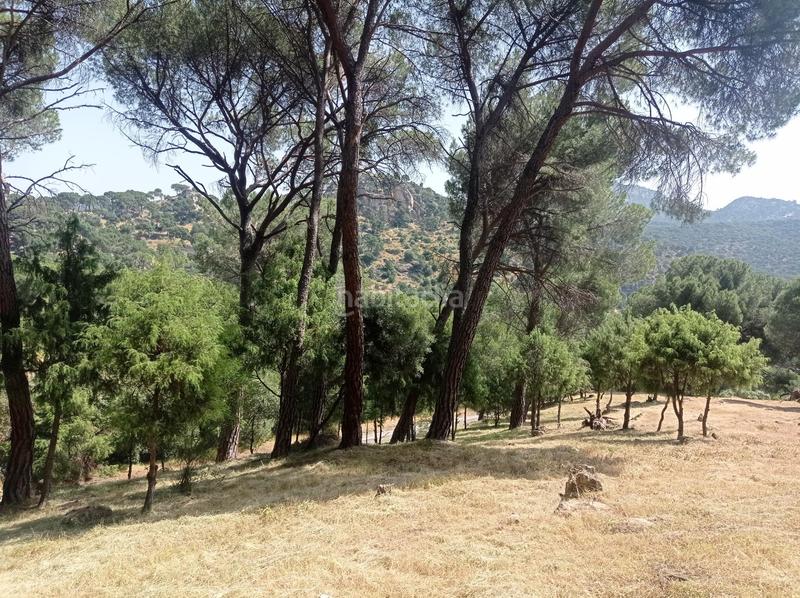 Foto 8318388a-1aba-4935-b40f-efbf8e1d857c. Terreny residencial a San Martín de Valdeiglesias