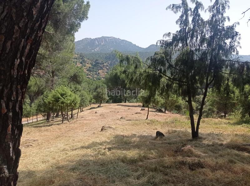 Foto bbed2f72-9608-457a-ad8c-6ca1a5f7e138. Terreny residencial a San Martín de Valdeiglesias