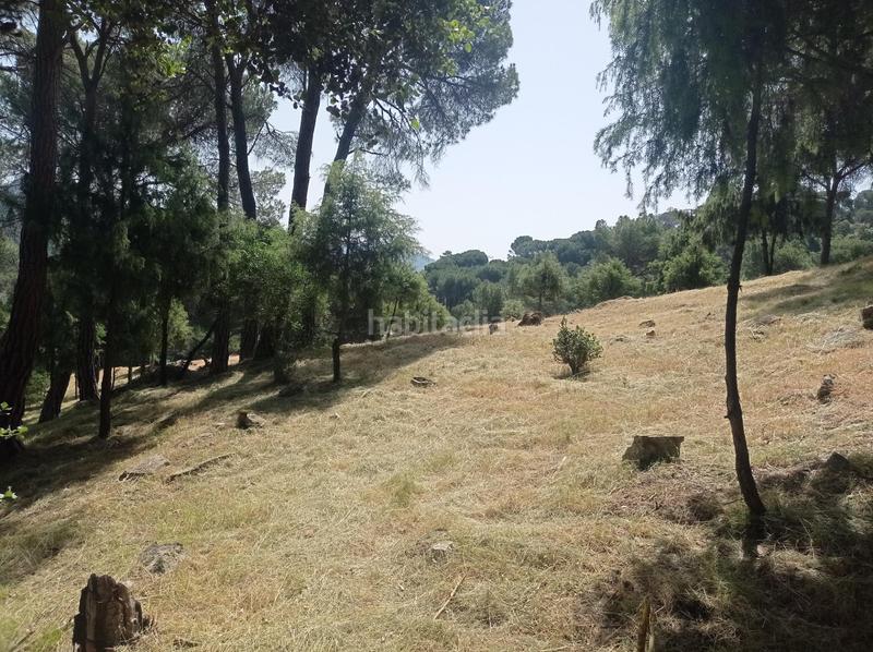 Foto cf7e8406-cc54-4544-b862-57a3361be45e. Terreny residencial a San Martín de Valdeiglesias