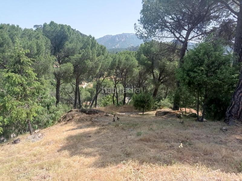 Foto d0f997d9-de36-42b5-8dd0-ec032649b609. Terreny residencial a San Martín de Valdeiglesias