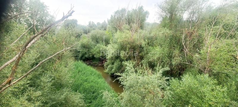 Foto 4d71e7c2-10ca-447a-8702-43dcfbc0426a. Chalet  independiente en un paraje natural en Villaviciosa de Odón