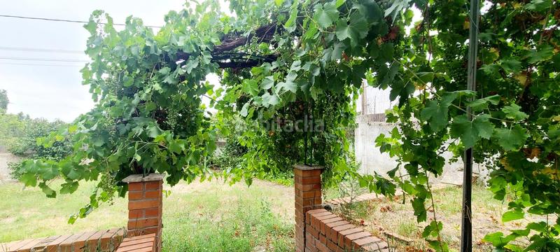 Foto 7e3a92ad-c8e7-458e-bb0c-122c45d44967. Chalet  independiente en un paraje natural en Villaviciosa de Odón