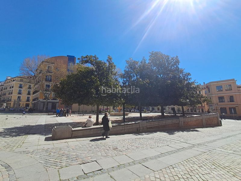 Foto 8aae5a2c-63b2-4f96-8dc2-0c6586a6359a. Pis a Palacio Madrid
