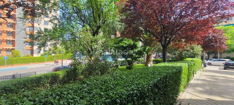 Foto e49735ce-e8ca-45e0-92f9-24b06add8382. Pis a Peñagrande Madrid
