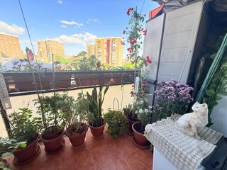 Flat in Estrella