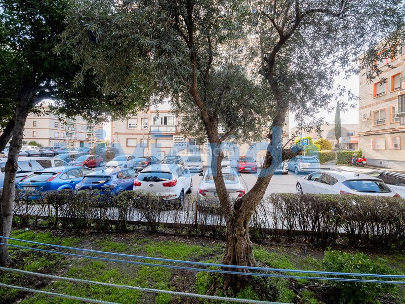 Piso en Portazgo, 75 m2, 3 dormitorios, 1 baxf1os, 299.000 euros en Madrid - Imagen 28