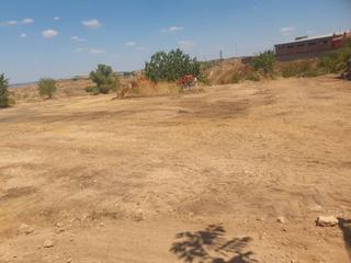 Finca rústica a Villarrubia de Santiago. Terreno urbanizable en villarrubia de santiago